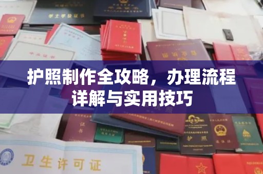 原阳护照制作全攻略，办理流程详解与实用技巧