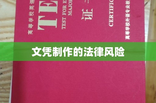原阳文凭制作的法律风险