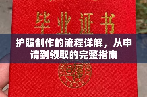 原阳护照制作的流程详解，从申请到领取的完整指南