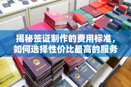 原阳揭秘签证制作的费用标准，如何选择性价比最高的服务？