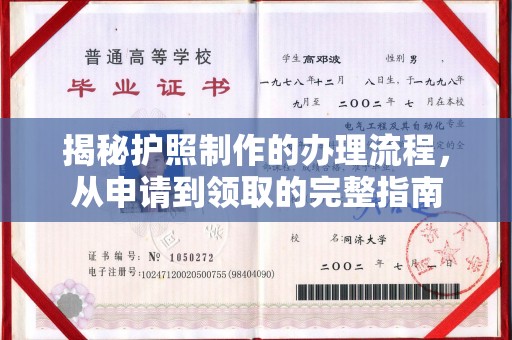 原阳揭秘护照制作的办理流程，从申请到领取的完整指南