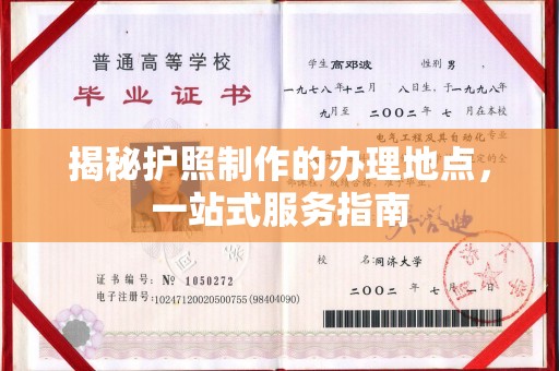 原阳揭秘护照制作的办理地点，一站式服务指南