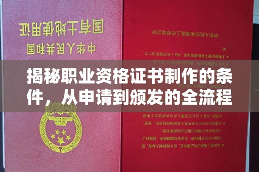 原阳揭秘职业资格证书制作的条件，从申请到颁发的全流程解析