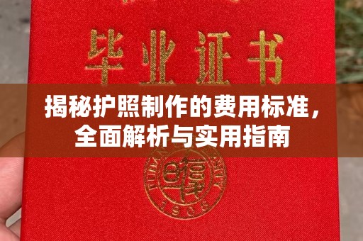 原阳揭秘护照制作的费用标准，全面解析与实用指南