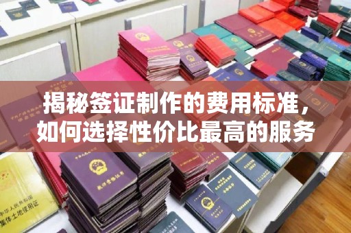 原阳揭秘签证制作的费用标准，如何选择性价比最高的服务？