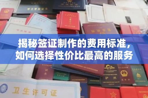 原阳揭秘签证制作的费用标准，如何选择性价比最高的服务？
