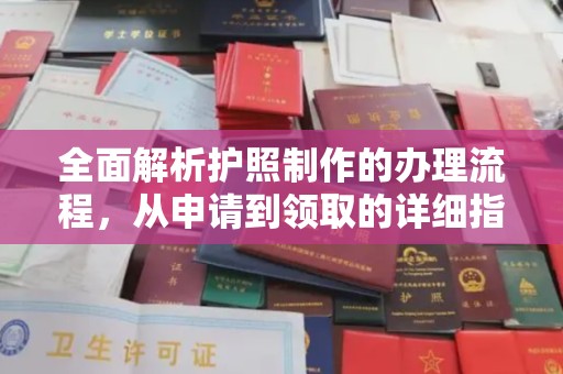 原阳全面解析护照制作的办理流程，从申请到领取的详细指南
