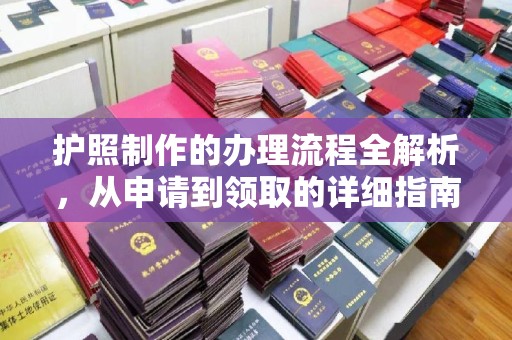 原阳护照制作的办理流程全解析，从申请到领取的详细指南