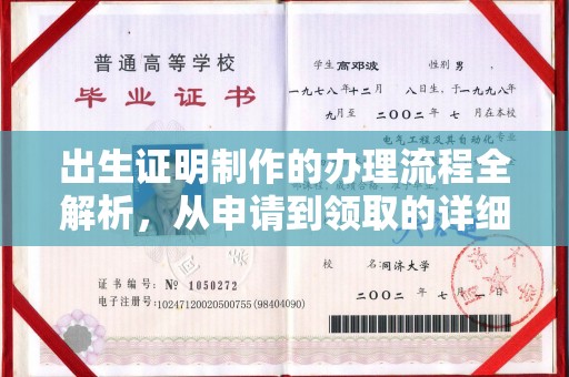 原阳出生证明制作的办理流程全解析，从申请到领取的详细指南