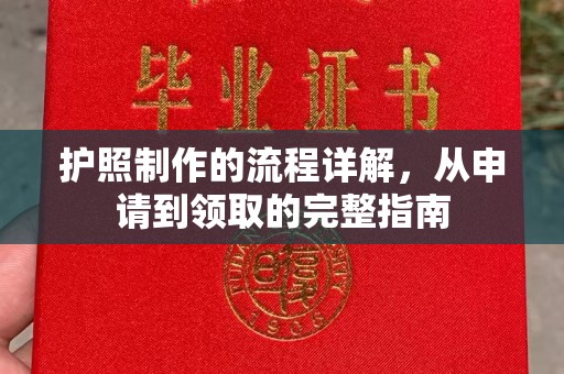 原阳护照制作的流程详解，从申请到领取的完整指南