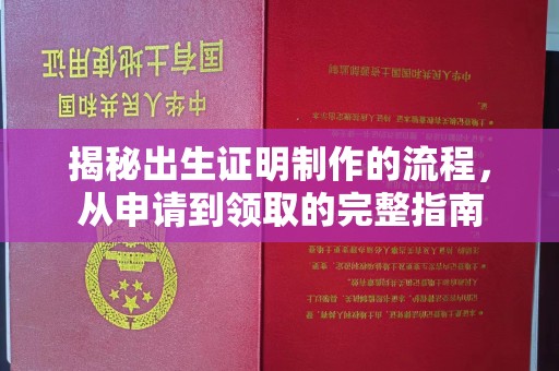 原阳揭秘出生证明制作的流程，从申请到领取的完整指南
