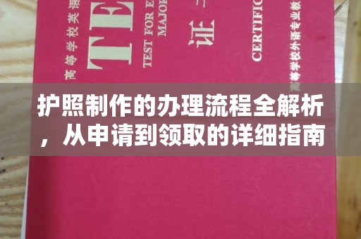 原阳护照制作的办理流程全解析，从申请到领取的详细指南