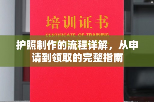 原阳护照制作的流程详解，从申请到领取的完整指南