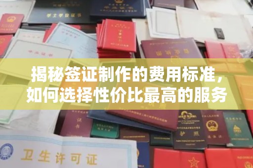 原阳揭秘签证制作的费用标准，如何选择性价比最高的服务？