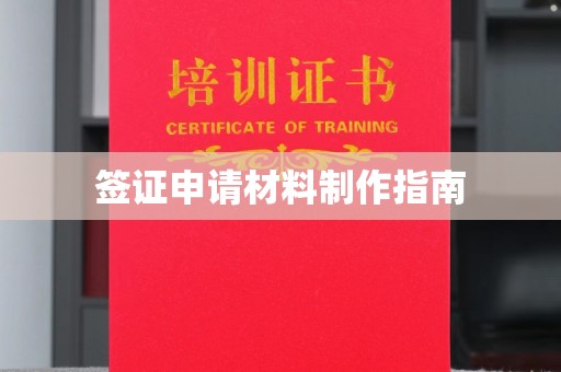 原阳签证申请材料制作指南