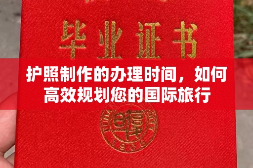 原阳护照制作的办理时间，如何高效规划您的国际旅行