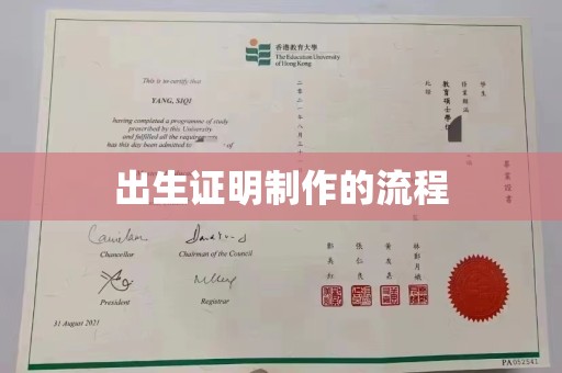 原阳出生证明制作的流程