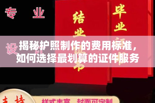 原阳揭秘护照制作的费用标准，如何选择最划算的证件服务？