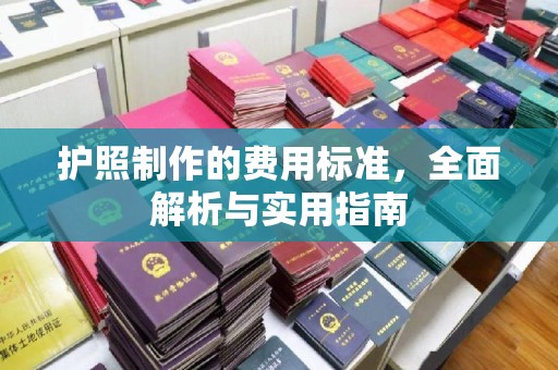 原阳护照制作的费用标准，全面解析与实用指南