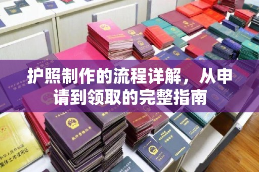 原阳护照制作的流程详解，从申请到领取的完整指南