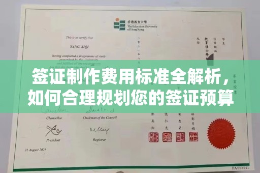 原阳签证制作费用标准全解析，如何合理规划您的签证预算？