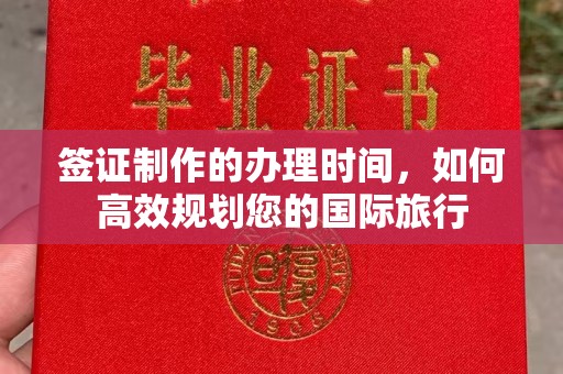 原阳签证制作的办理时间，如何高效规划您的国际旅行